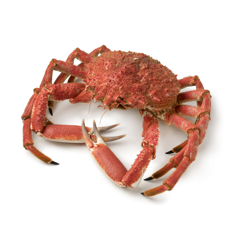 Red Crabs