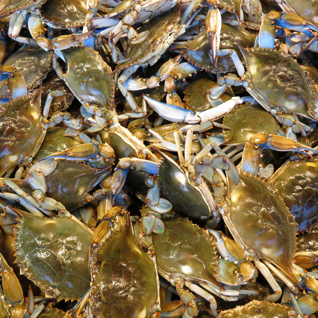 The Boiling Crab Bucket Challenge: Can You Do It?