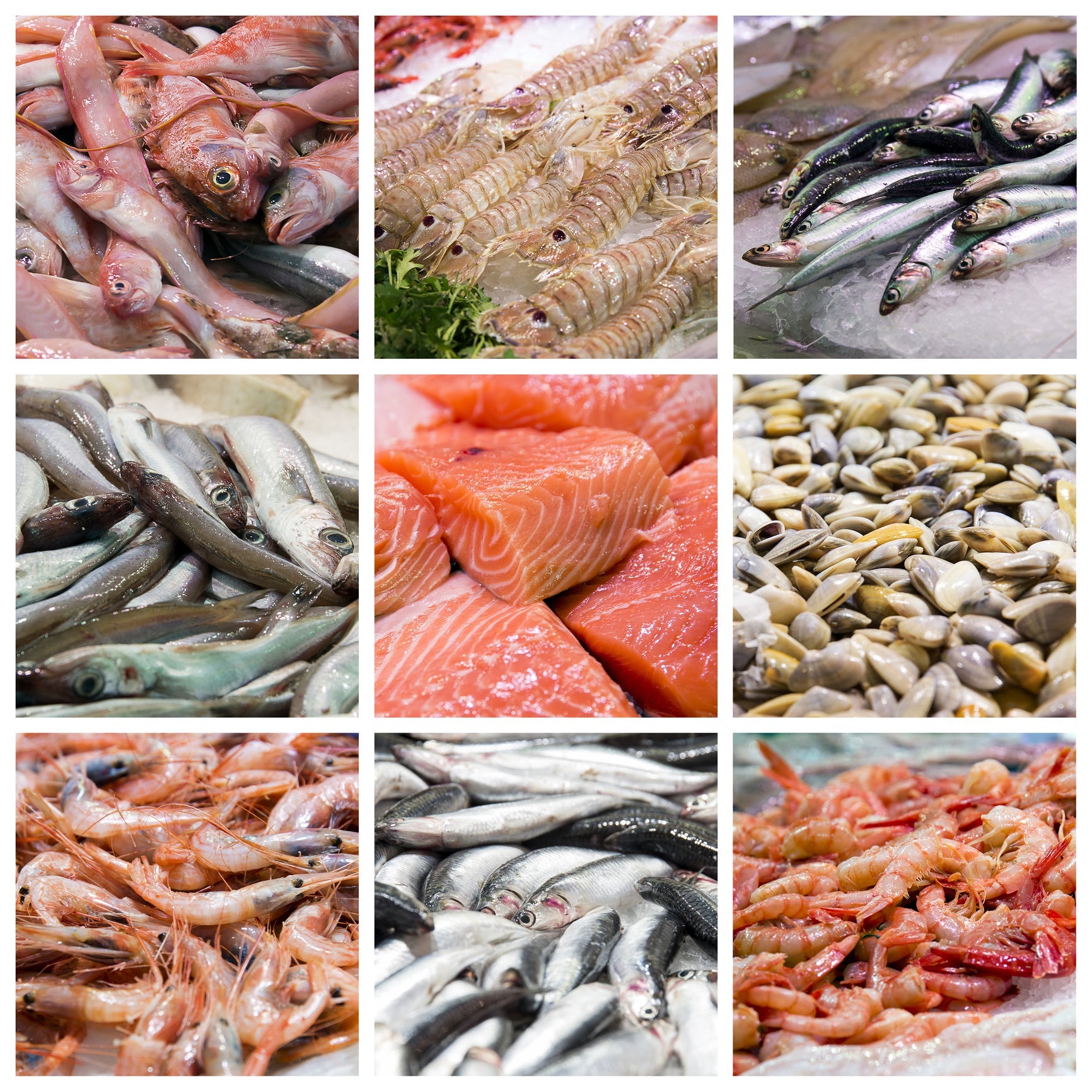 Deliciously Easy Shrimp Recipes for a Quick Meal - Global Seafoods North America