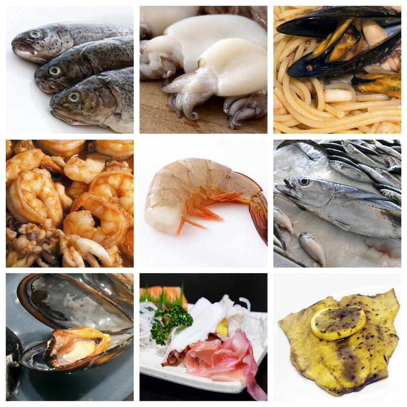 Luxury Seafood for Foodies | Explore Global Seafoods’ Premium Selection