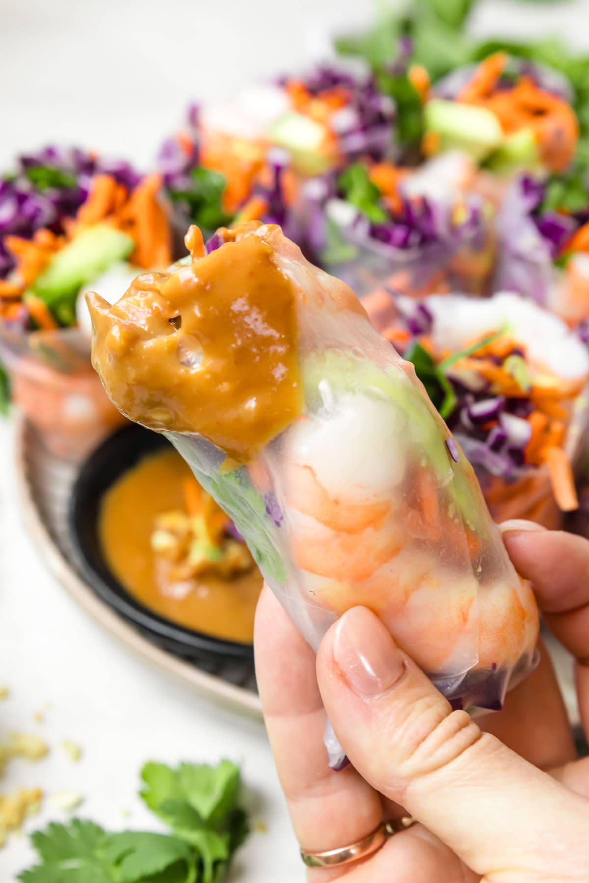 Shrimp Summer Rolls 