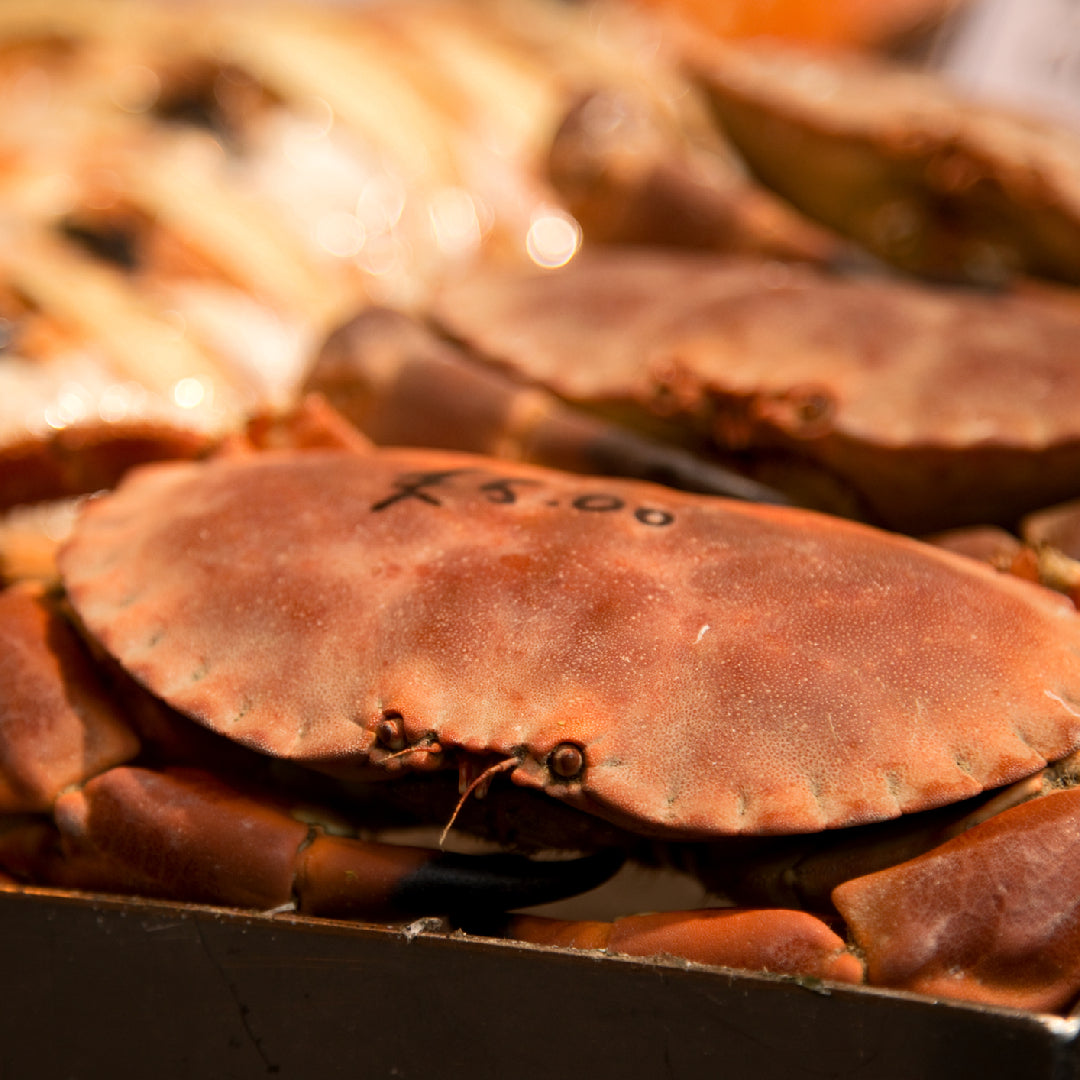 Cooked Crab for Game Night: A Guide