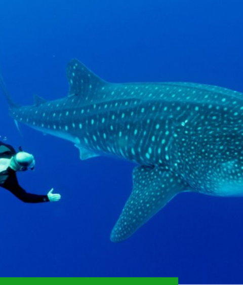 Leadership Feature: George Leonard – Fishwise