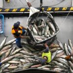 Meggan Monday: Maritime and Seafood Industry Museum – WXXV News 25