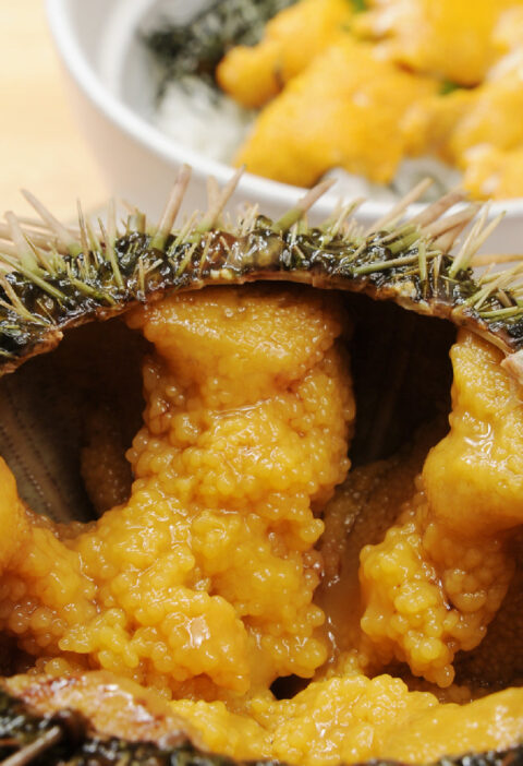 Best Places for Sea Urchin Sushi in Seattle: Top 10 Restaurants