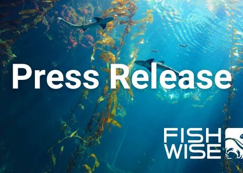 FishWise and the Global Dialogue on Seafood Traceability Partner to Advance Electronic Seafood Traceability – Fishwise