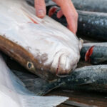 Pacific Seafood issued $222,000 penalty for water pollution violations – KXRO News Radio