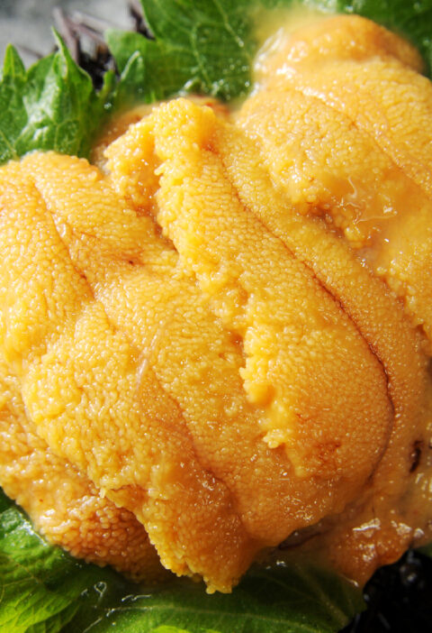 How to Make Perfect Sea Urchin Sushi Using Uni
