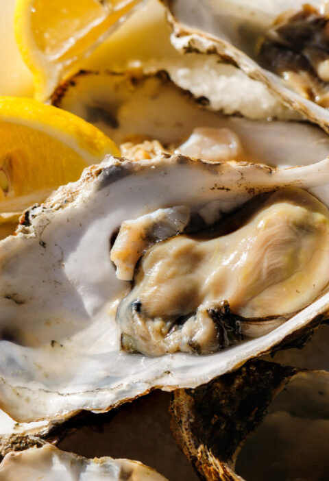 Oyster Farming and Its Economic Impact: A Comprehensive Guide
