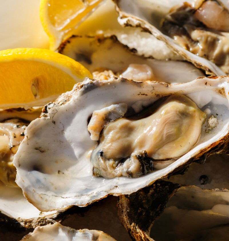 Oyster Farming and Its Economic Impact: A Comprehensive Guide Oyster Farming and Its Economic Impact: A Comprehensive Guide