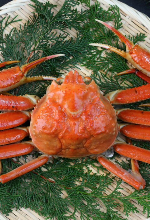 Snow Crab Legs Delivery: Freshness and Quality at Your Doorstep
