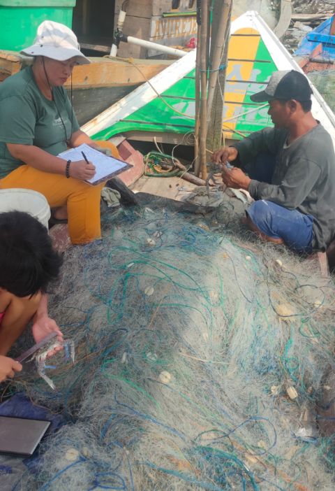 Transforming Data into Action: A Five-Year Look at Blue Swimming Crab Fisheries Performance in Lampung – EDFish