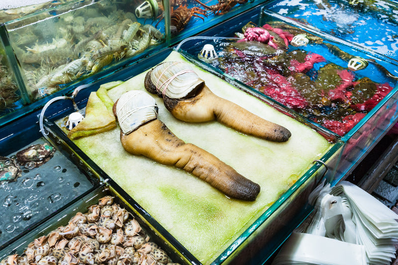 Geoduck: The Ocean’s Treasure – How to Buy, Cook, and Enjoy Geoduck Geoduck: The Ocean’s Treasure – How to Buy, Cook, and Enjoy Geoduck