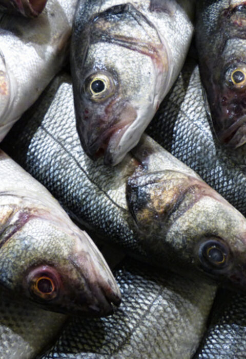 How to Eat Branzino: A Delicious Guide to Enjoying This Exquisite Fish