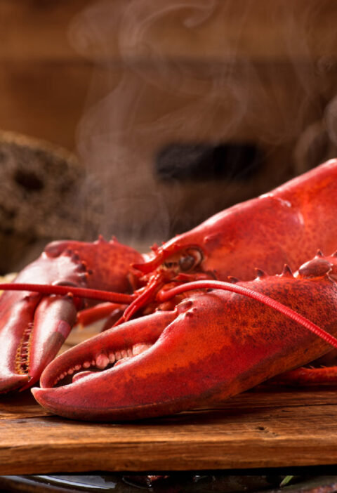 How to Pick the Perfect Lobster: Tips for Size, Freshness, and Flavor