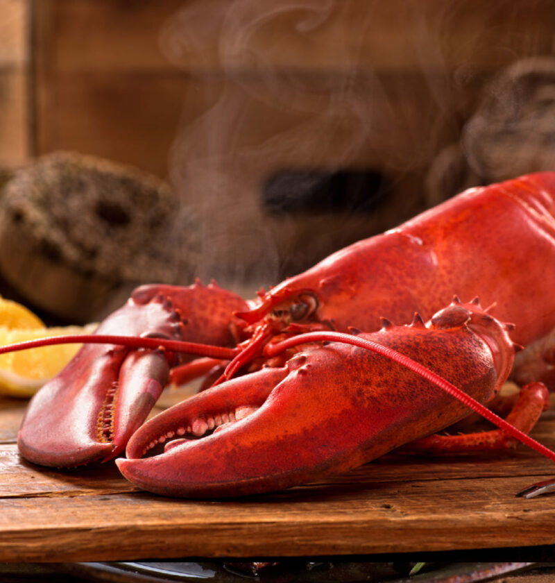 How to Pick the Perfect Lobster: Tips for Size, Freshness, and Flavor How to Pick the Perfect Lobster: Tips for Size, Freshness, and Flavor