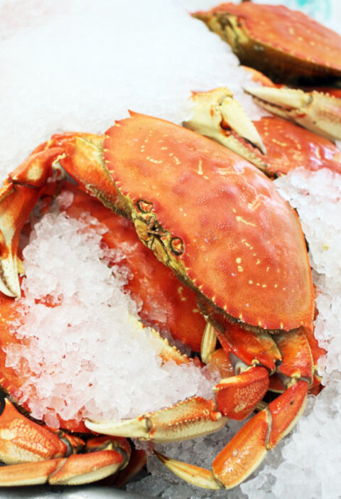 Dungeness Crab Clusters: The Ultimate Guide to a Nutritious and Delicious Seafood Delight