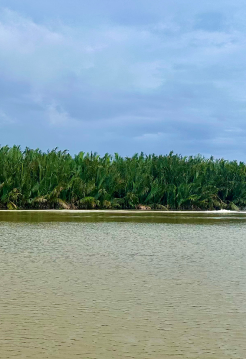 The Global Biodiversity Framework in practice: Aligning Marine Protected Area and Fisheries Management in Indonesia