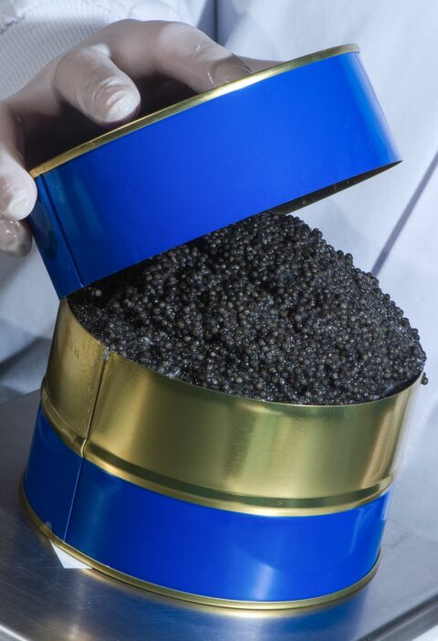 The Top 10 Health Benefits of Black Caviar: Why It’s a Nutritional Powerhouse