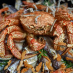 Red Lobster Debuts Exciting New Menu Offerings After Scaring Fans With Bankruptcy News
