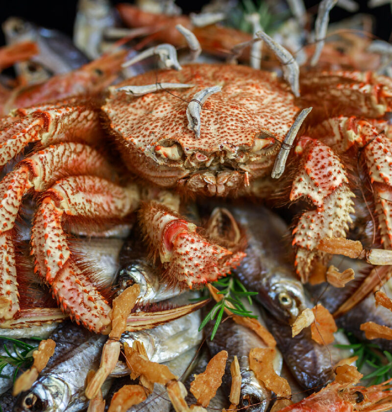 Boiling Crab for Date Night: A Romantic Guide to the Perfect Seafood Feast Boiling Crab for Date Night: A Romantic Guide to the Perfect Seafood Feast