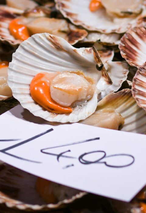 Understanding the Economic and Environmental Benefits of Live Scallop Farming