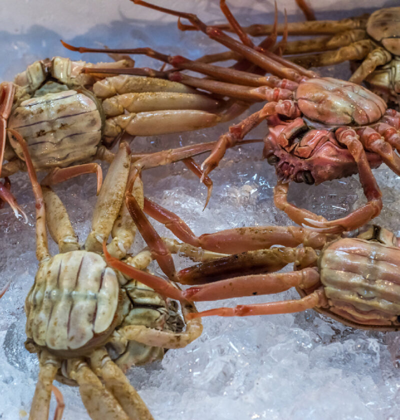 Boiling Crab vs. Lobster: Which Seafood Reigns Supreme? Boiling Crab vs. Lobster: Which Seafood Reigns Supreme?