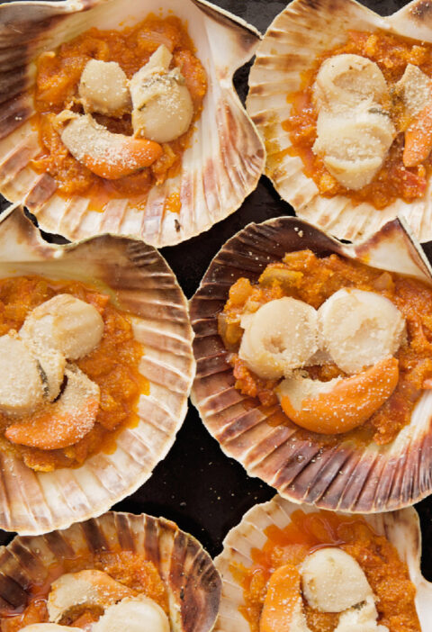 Live Scallops and Sustainability: Protecting Oceans and Enjoying Seafood