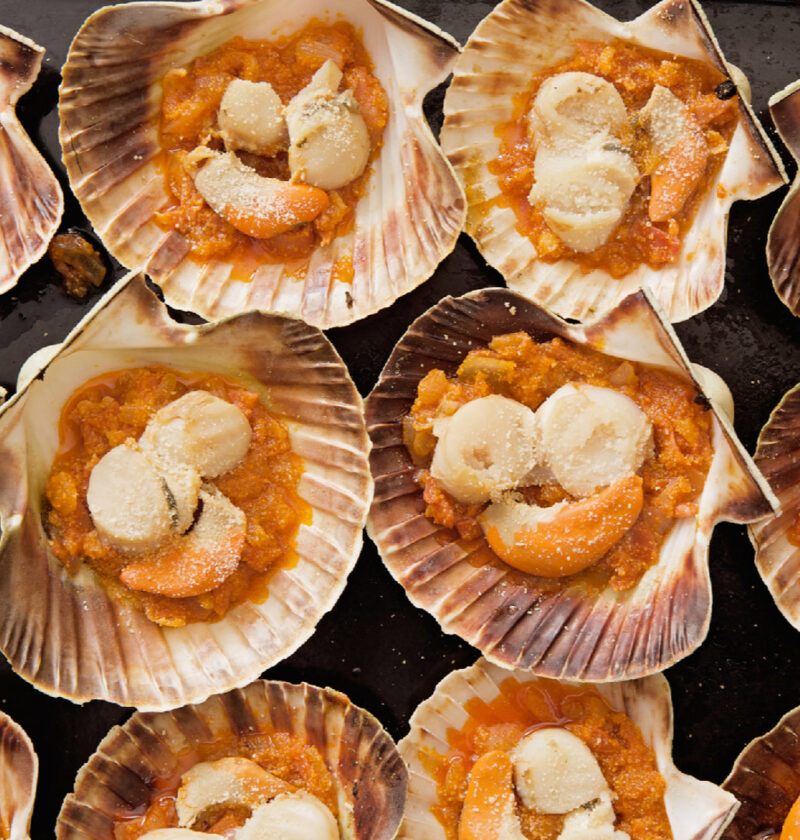 Live Scallops and Sustainability: Protecting Oceans and Enjoying Seafood Live Scallops and Sustainability: Protecting Oceans and Enjoying Seafood