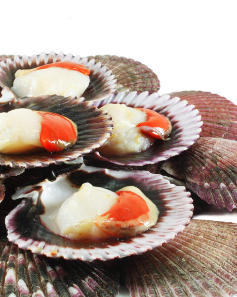 The Best Live Scallop Dishes From Around the World