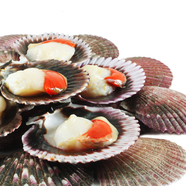 The Best Live Scallop Dishes From Around the World The Best Live Scallop Dishes From Around the World