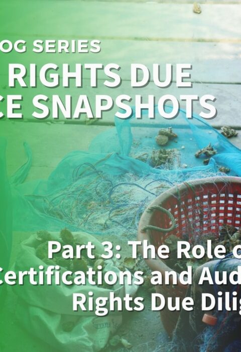 The Role of Social Certifications and Audits in Human Rights Due Diligence