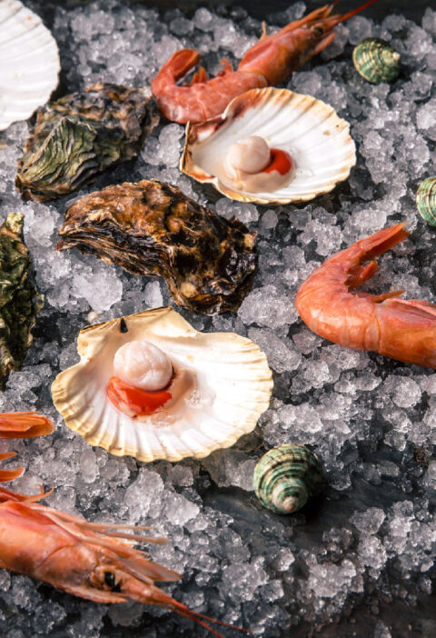 Where to Buy the Freshest Live Scallops: A Complete Guide