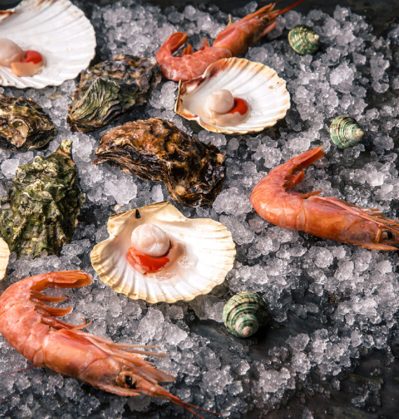 Where to Buy the Freshest Live Scallops: A Complete Guide Where to Buy the Freshest Live Scallops: A Complete Guide