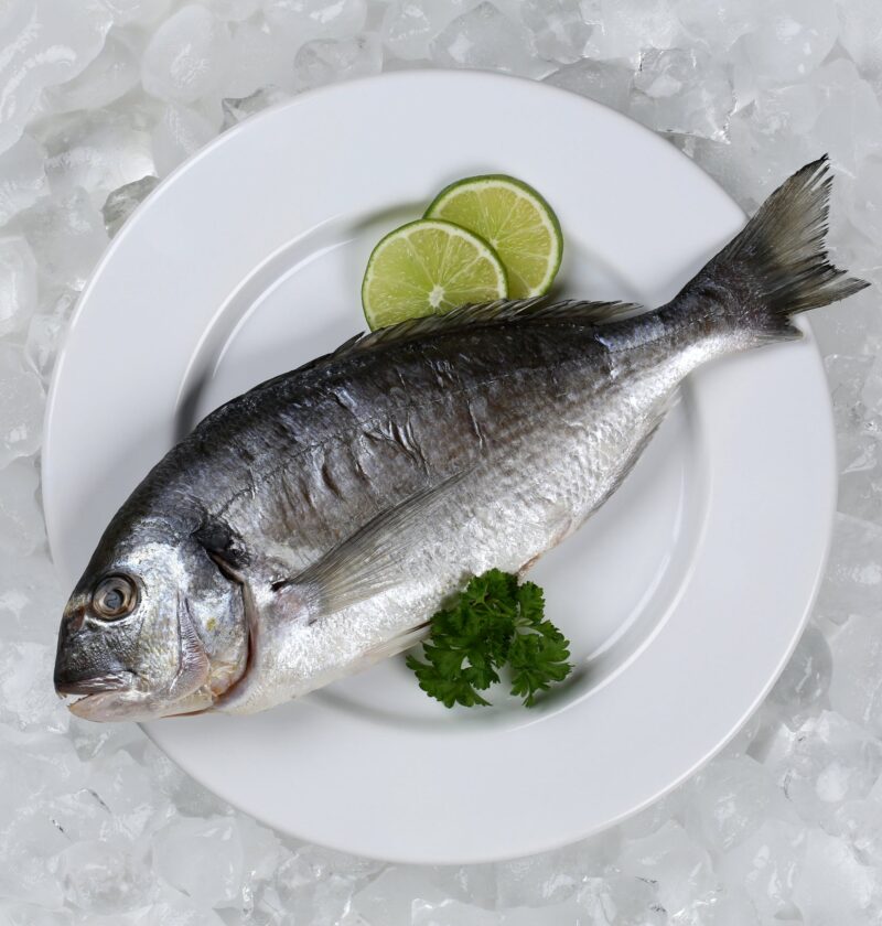 Delicious Seafood Breakfast Recipes: Start Your Day with Healthy Flavors Delicious Seafood Breakfast Recipes: Start Your Day with Healthy Flavors