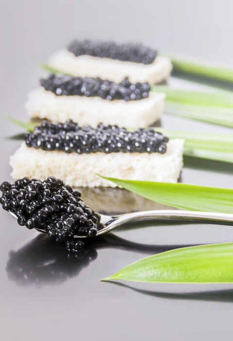 Exploring the Luxurious World of Beluga Caviar: A Gourmet Delight