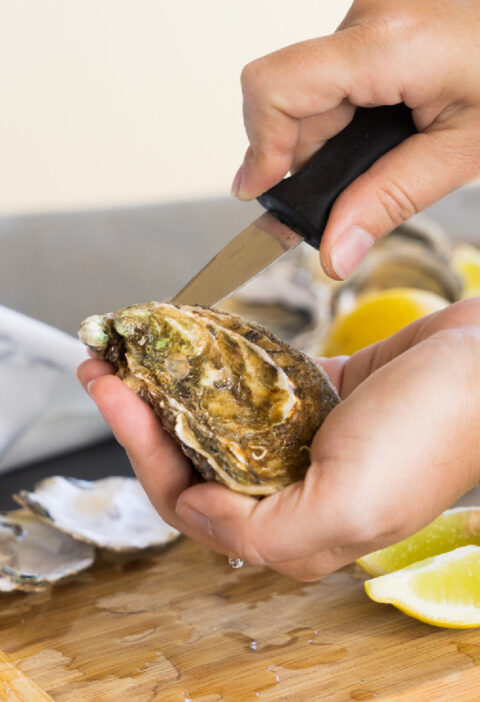 Master Oyster Shucking: A Beginner’s Guide to Tools and Techniques