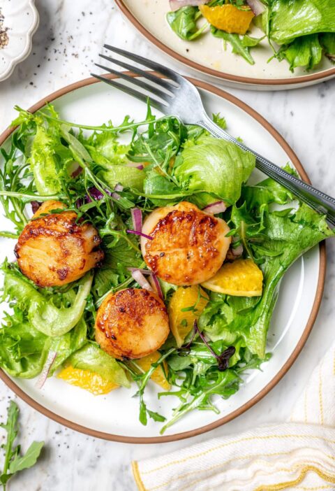Pan Seared Scallop Salad With Citrus Vinaigrette