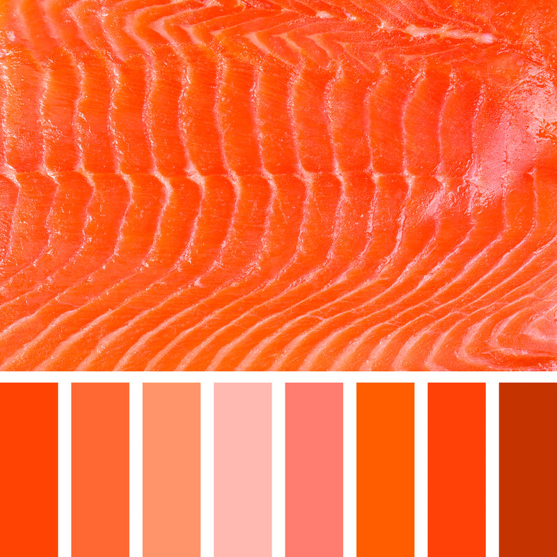 Sockeye Salmon in British Columbia vs. Bristol Bay: Key Differences Sockeye Salmon in British Columbia vs. Bristol Bay: Key Differences