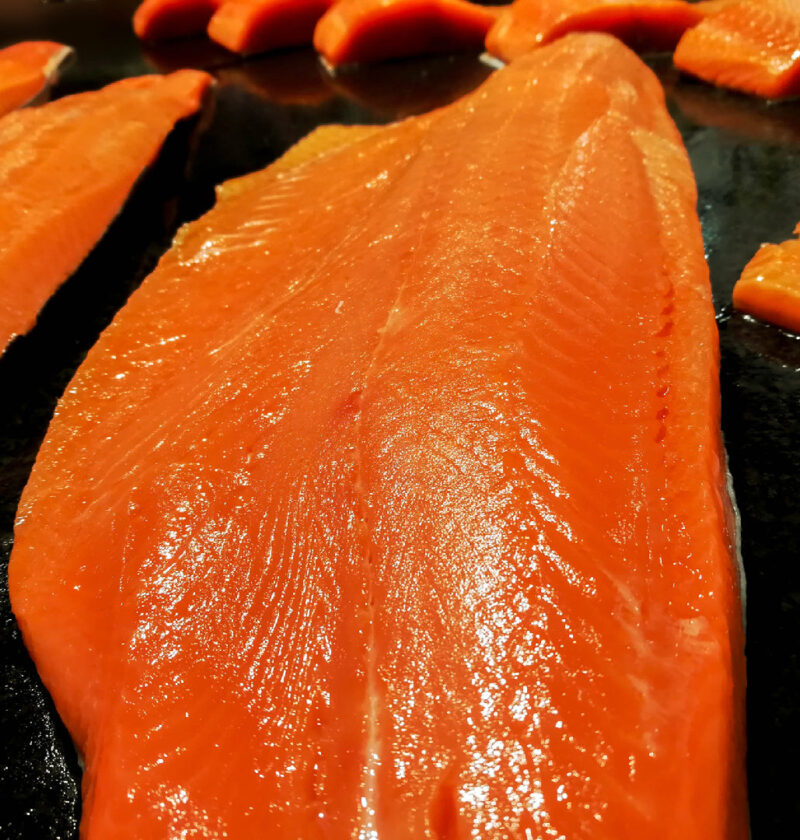 The Best Time of Day to Fish for King Salmon: Tips for a Successful Catch