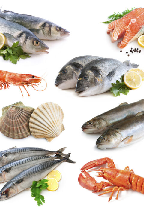 The Seafood Market: From Ocean to Plate – A Deep Dive into the Journey