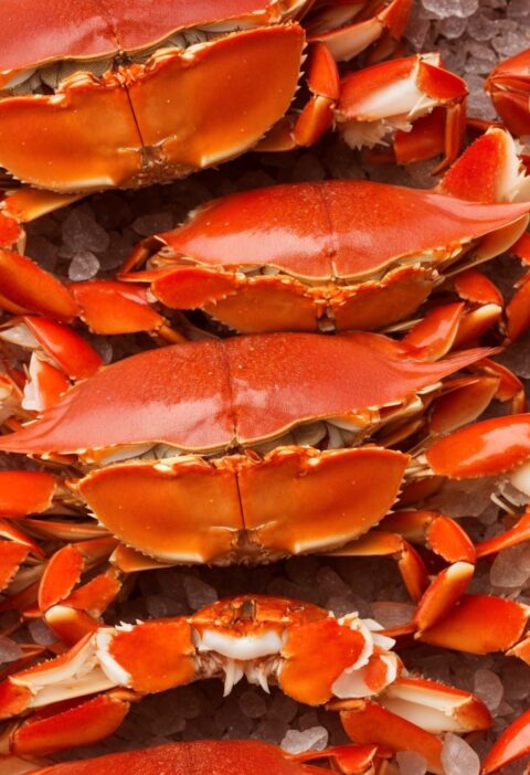 Dungeness Crab Clusters vs. Snow Crab: Taste, Texture & Best Choice