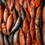 The Story Behind The Oldest Fish Market In The US – Tasting Table