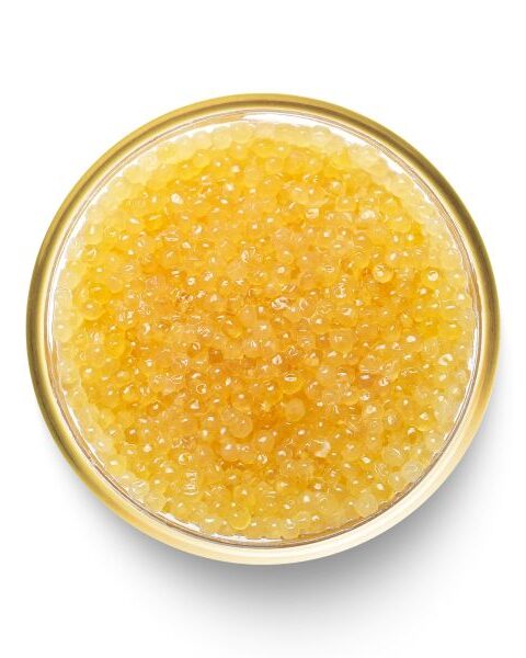 Pike Caviar – A Luxurious Delicacy from Wild Canadian Pike