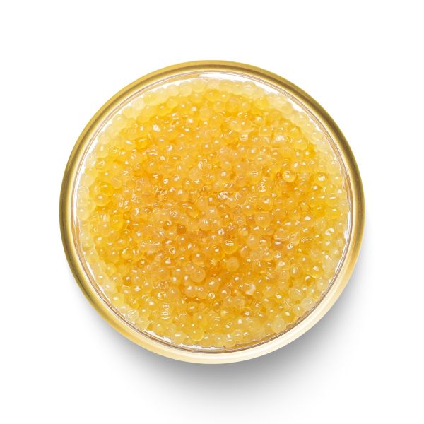 Pike Caviar – A Luxurious Delicacy from Wild Canadian Pike Pike Caviar – A Luxurious Delicacy from Wild Canadian Pike