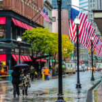 8 Best Indoor Boston Winter Activities – Boston Discovery Guide