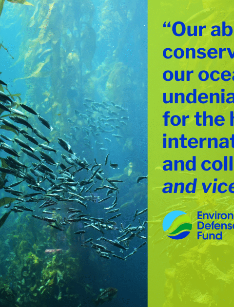 The Health of Our Oceans and International Collaboration Go Hand in Hand – EDFish
