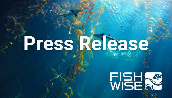 FishWise Charts its 2030 Course with Strategic Board Appointments FishWise Charts its 2030 Course with Strategic Board Appointments