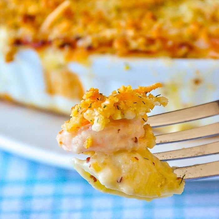 Seafood Shells & Cheese – Shrimp Mac & Cheese fit for a dinner party! Seafood Shells & Cheese – Shrimp Mac & Cheese fit for a dinner party!