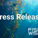 Daily Dot: Myth or Not: Wild-Caught Fish is Better Than Farmed? – Bluedot Living
